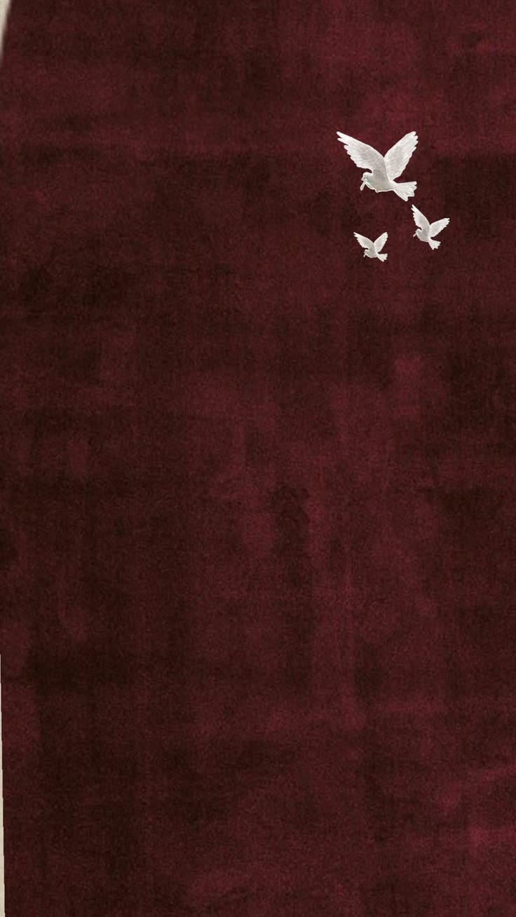 HASANBOYEVA SHAHNOZA JAMOLADDIN QIZI